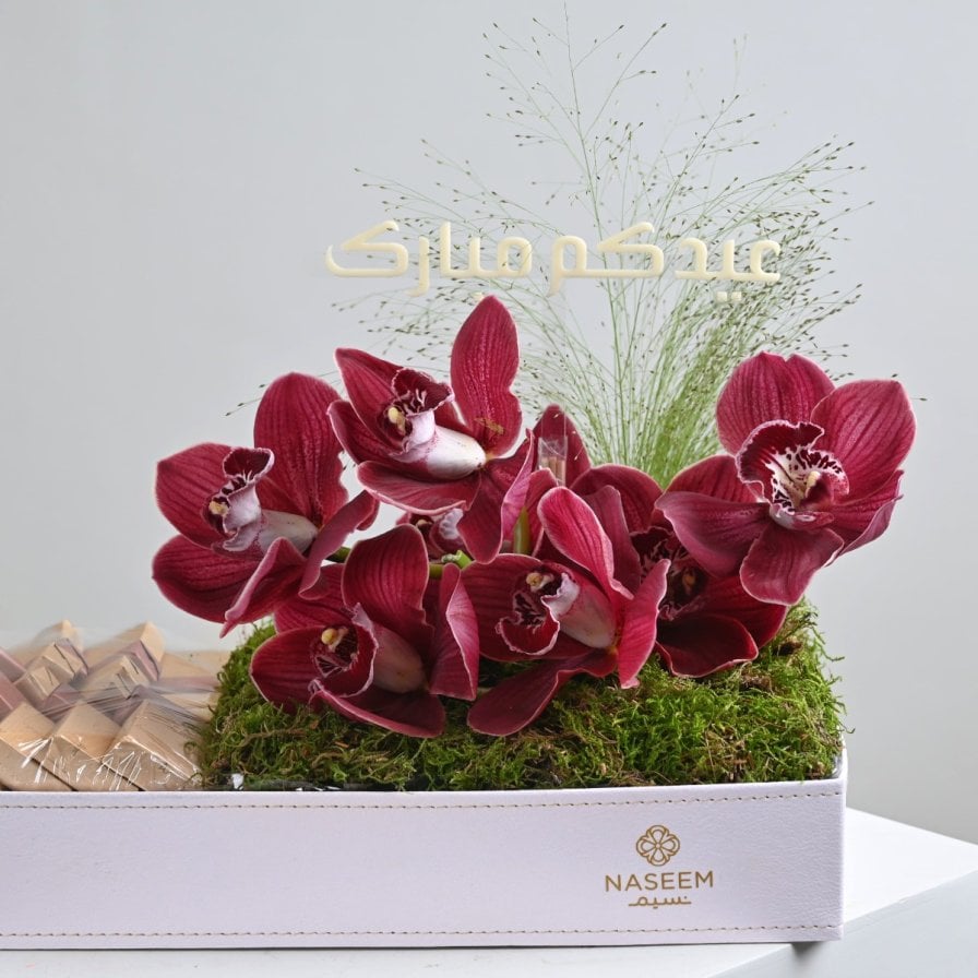 اسعد ليالينا 