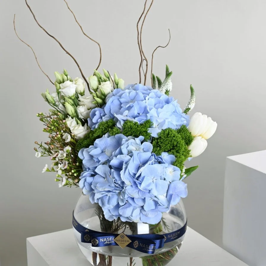 Blue Hydrangea