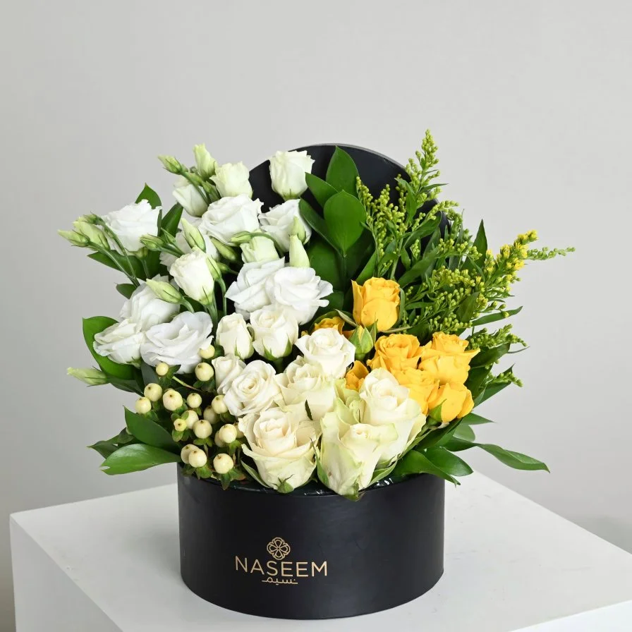 Naseem Package 15