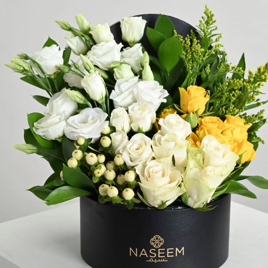 Naseem Package 15