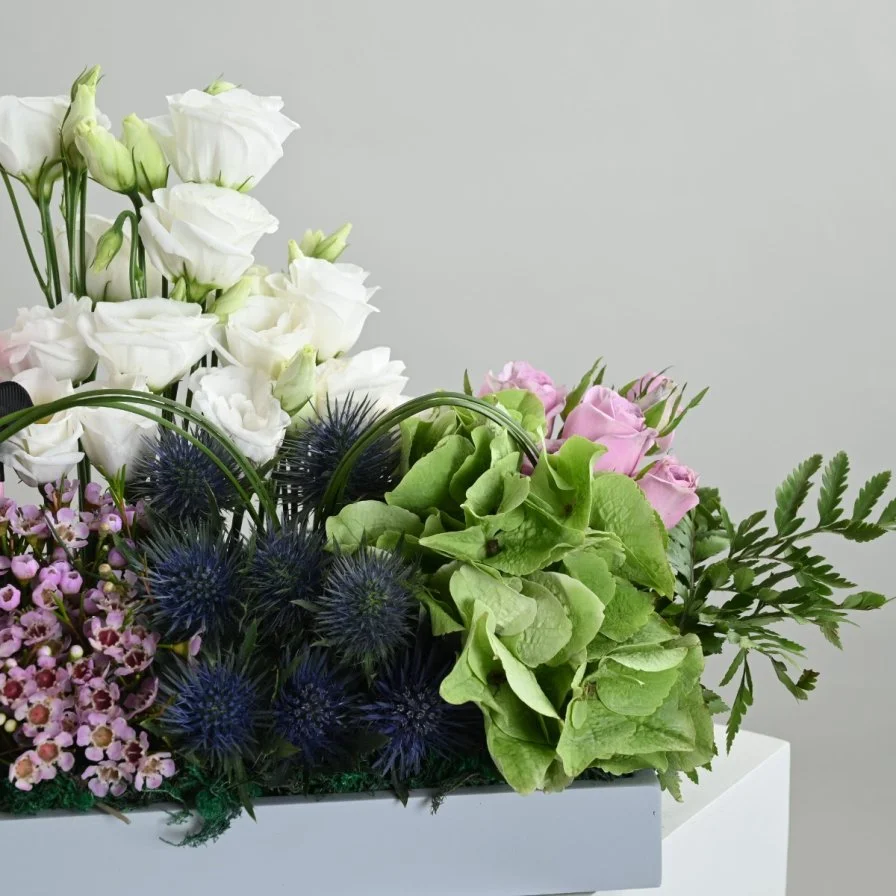 هدية مجوهرات نفيس