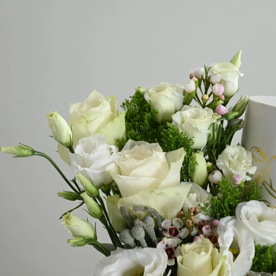 Anoush with white roses