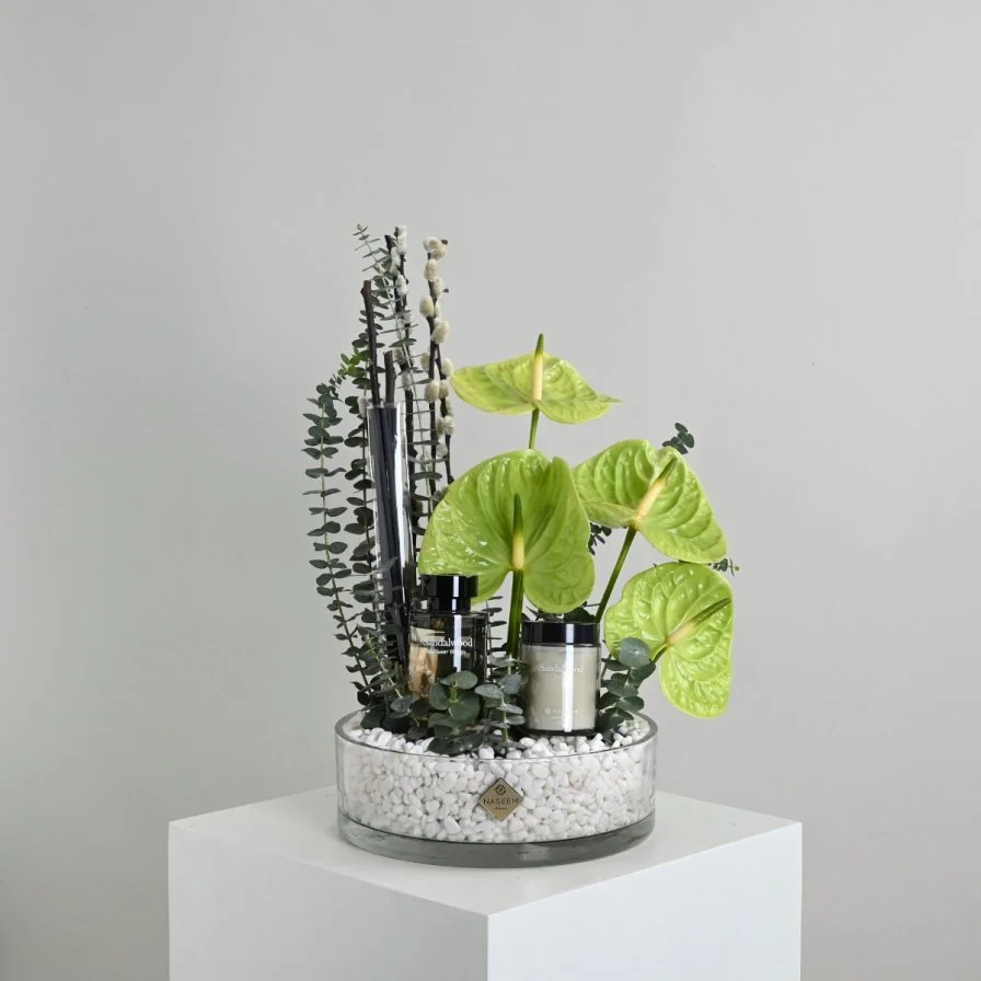 Freshener set with anthurium rose