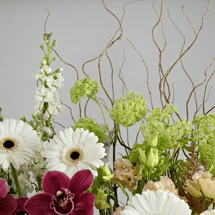 رويال إليجانس