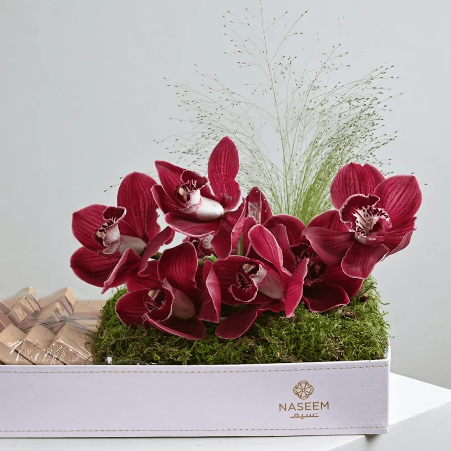 تنسيق أناقة السمبيديوم والشوكولاتة