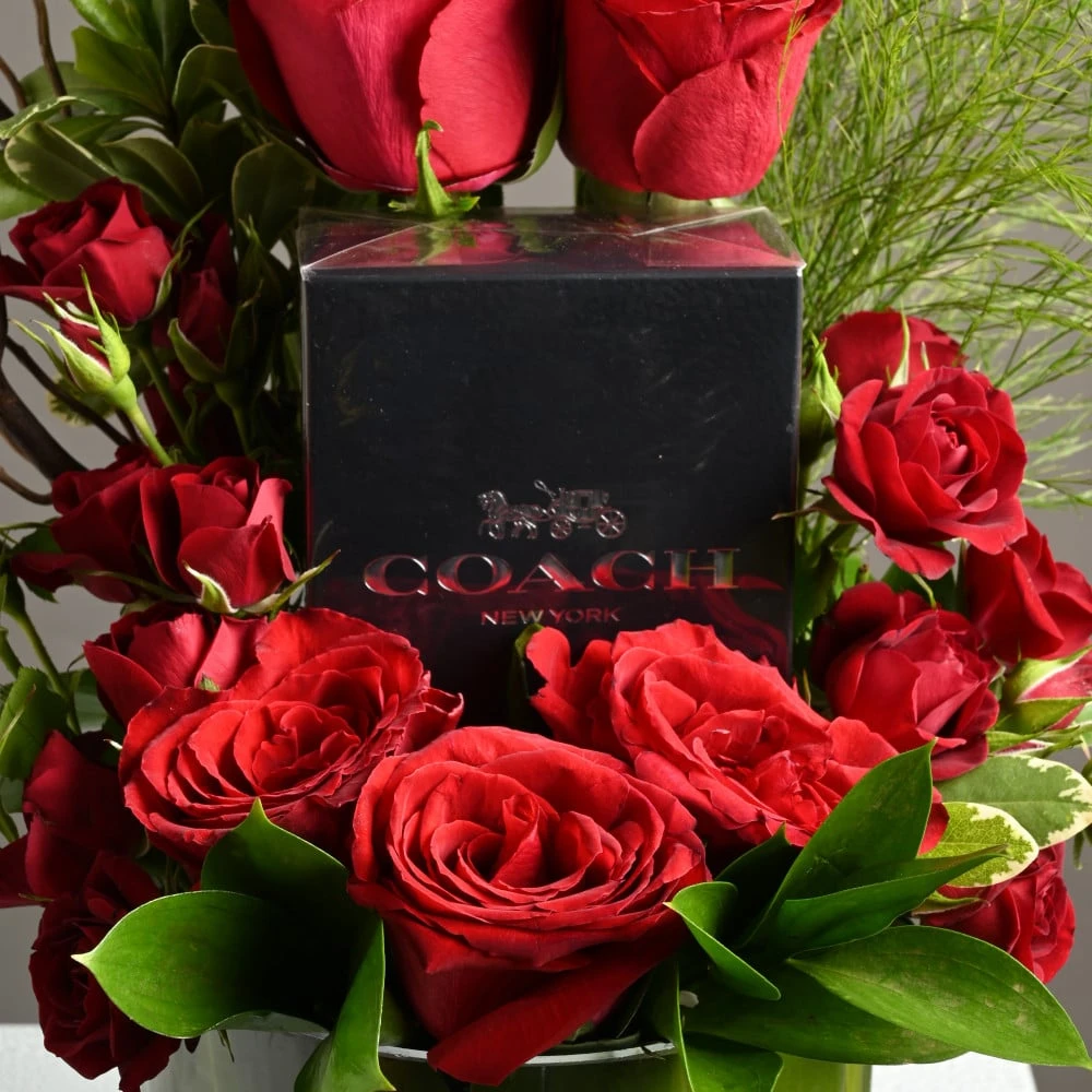 Coach perfume for men with red roses (men)