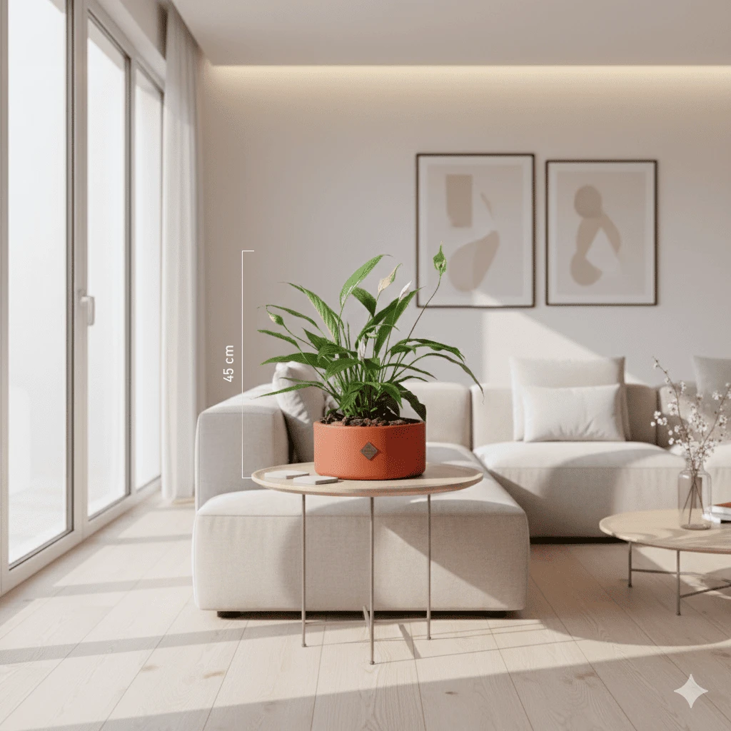 Peace Lily Plant | Camel Vase