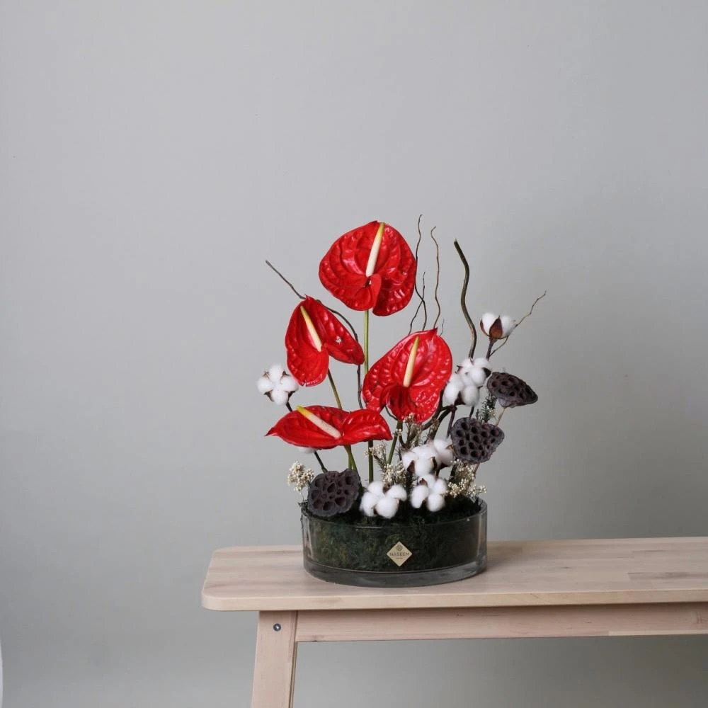 Nostalgia vase Anthurium and cotton twigs