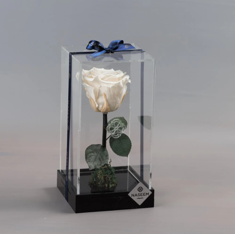 Natural Long Life Rose, Small White