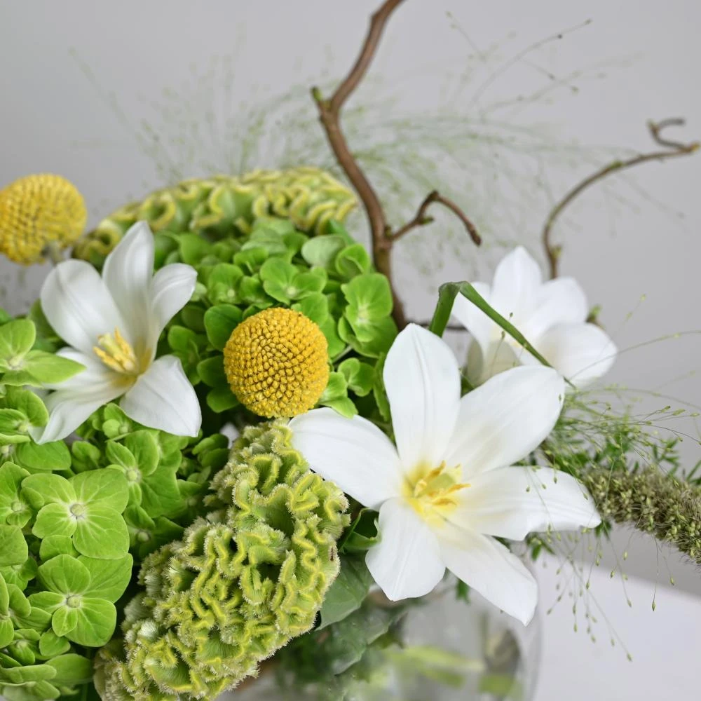 Rosetta Vase | Munch Bakery Cake - Medium