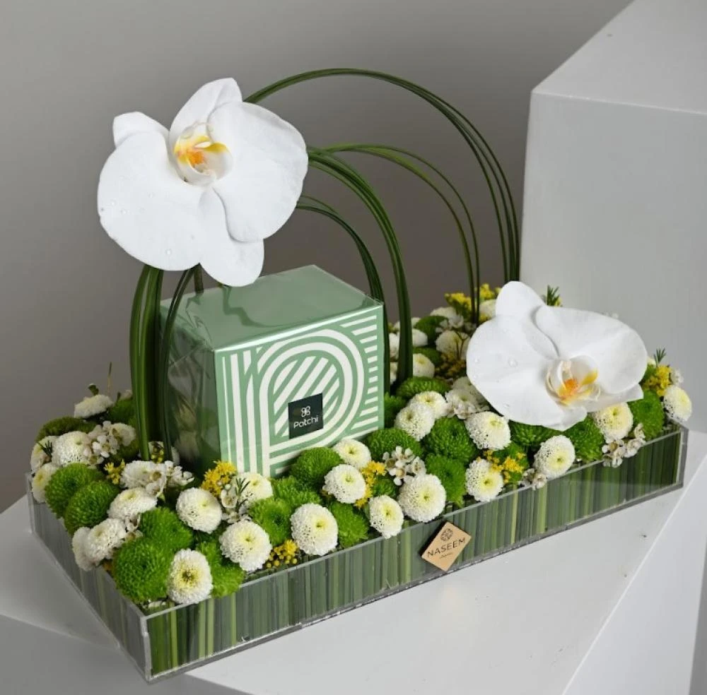 Patchi Orchid