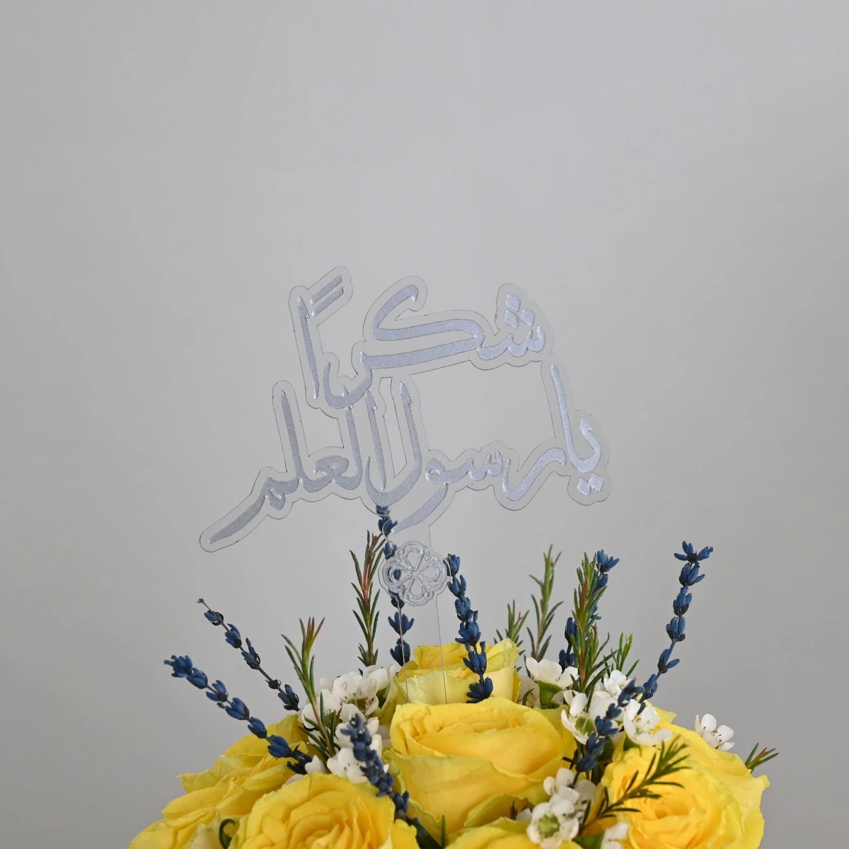معلمي