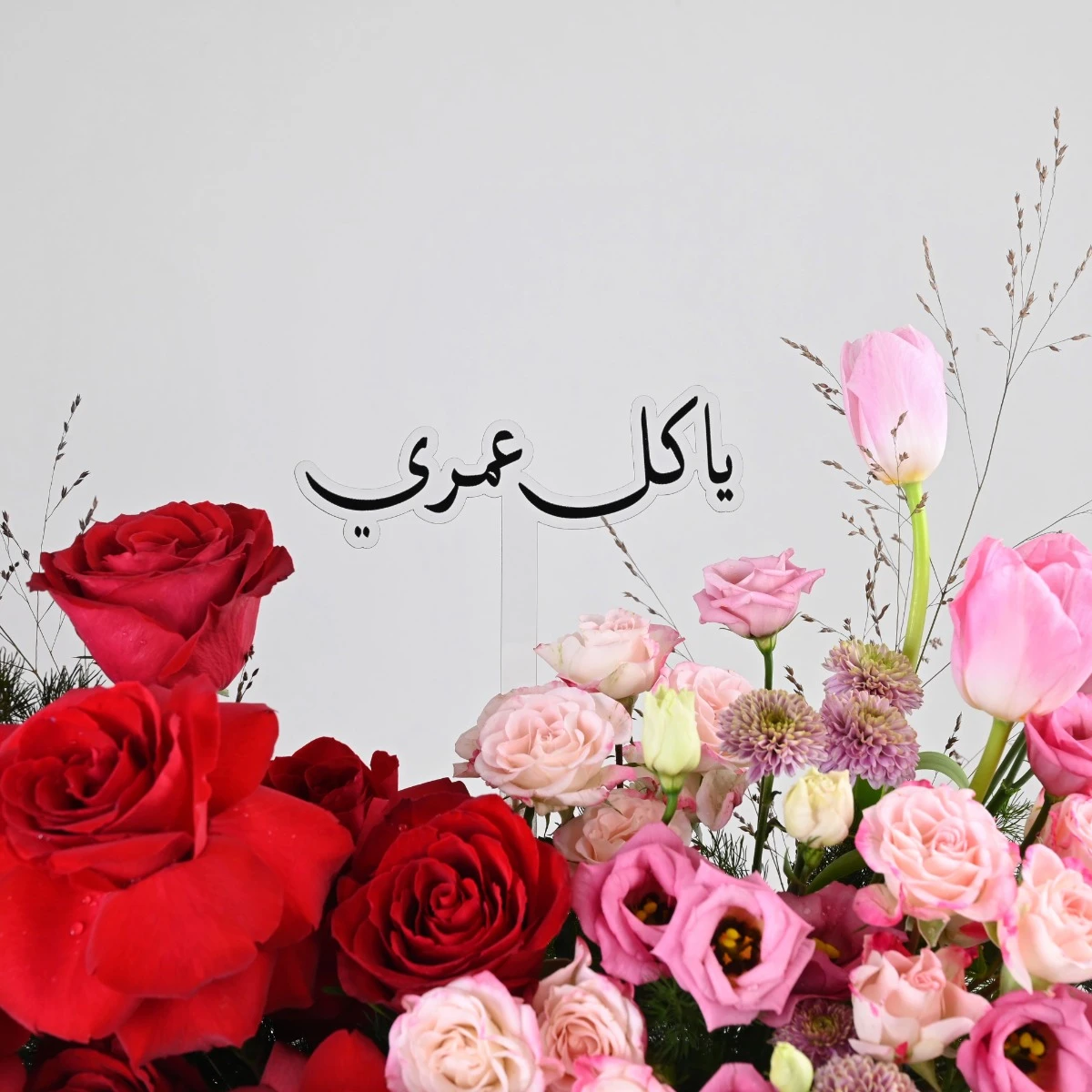 دفء المشاعر | يا كل عمري