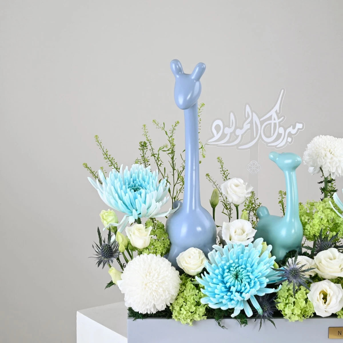 Blue Llama Bloom | هدية المولود