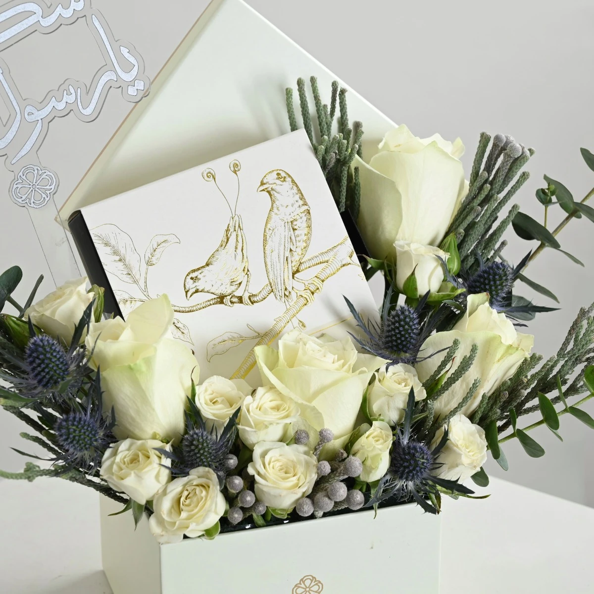 ضياء العلم