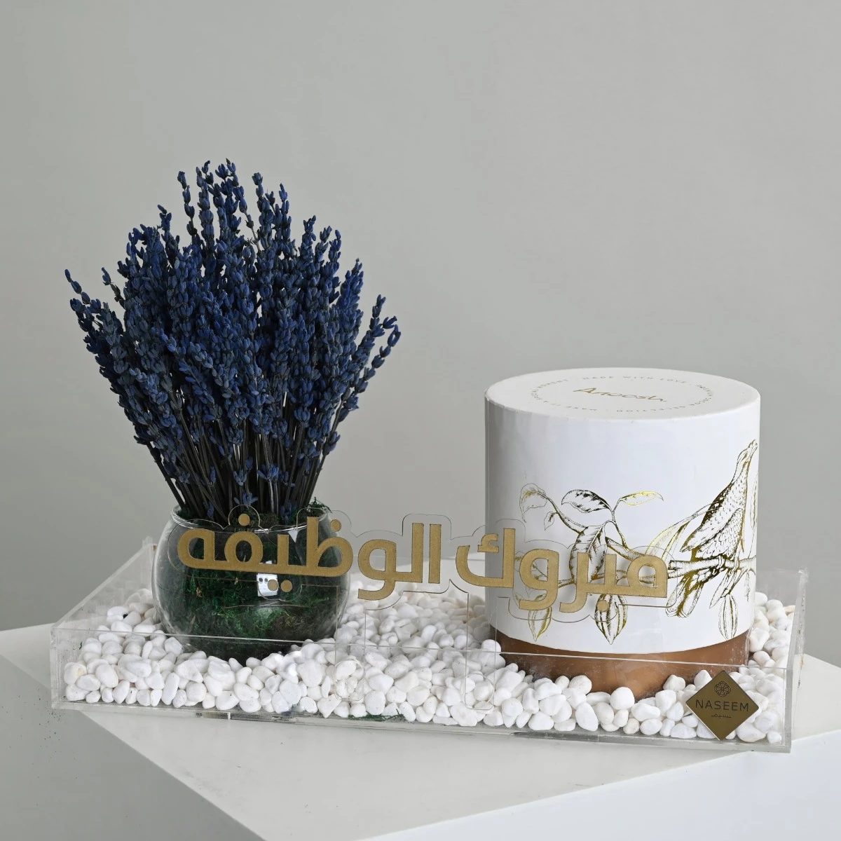 مبروك الوظيفة