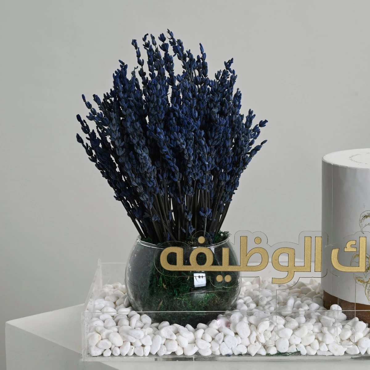 مبروك الوظيفة