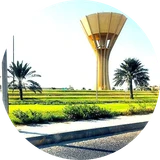 صفوى